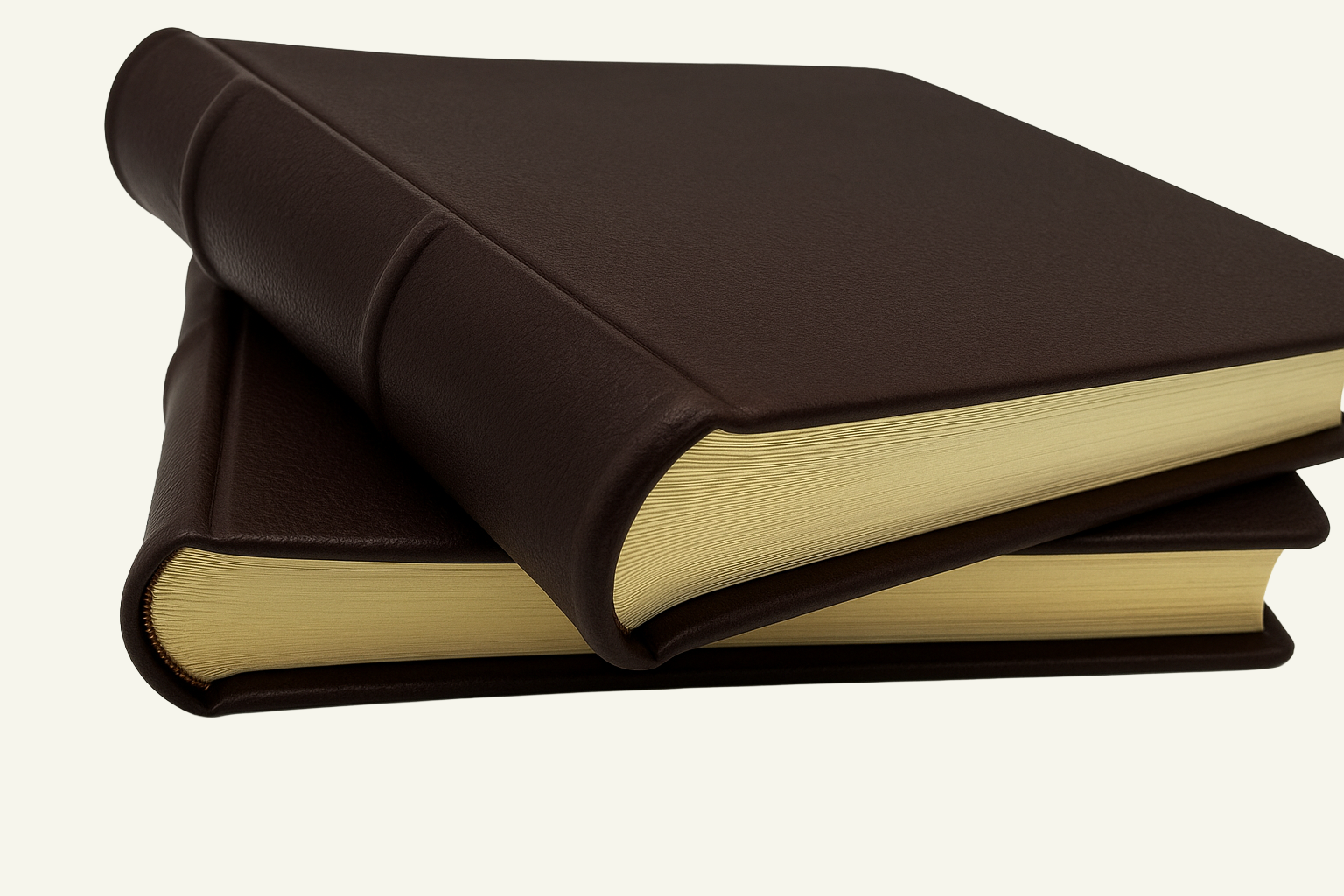 14x10 Classic Brown Leather Photo Albums