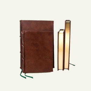 Classic Leather Journal With Gilded Pages