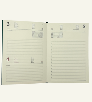 Day planner insert full page