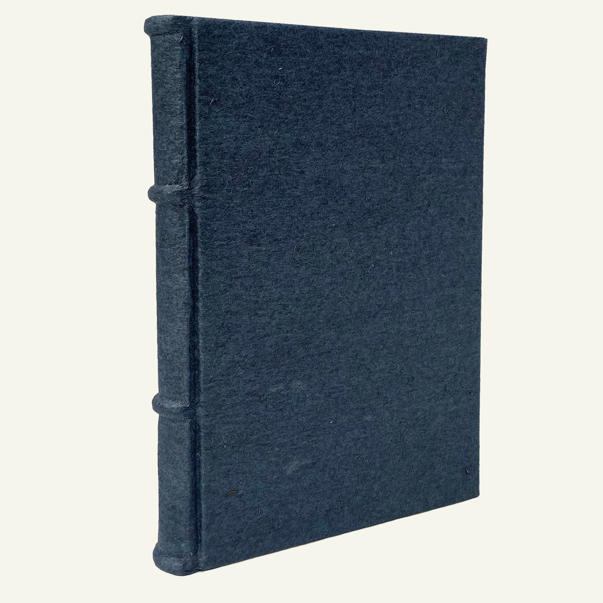 Vegan friendly refillable 2026 day planner in Indigo Blue