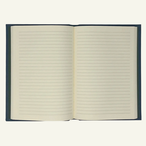 blue leather journal - open - ruled pages