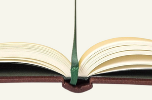 Classic Unlined Pages with green satin bookmark