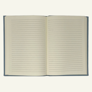 Light blue leather journal - open - ruled pages