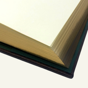 Unlined journal with gold gilded edges