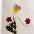 Notecard With Hand-pressed Flowers On Amalfi Paper
