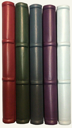 Ispirato collection - 5 colorful leather notebooks with ridge spine