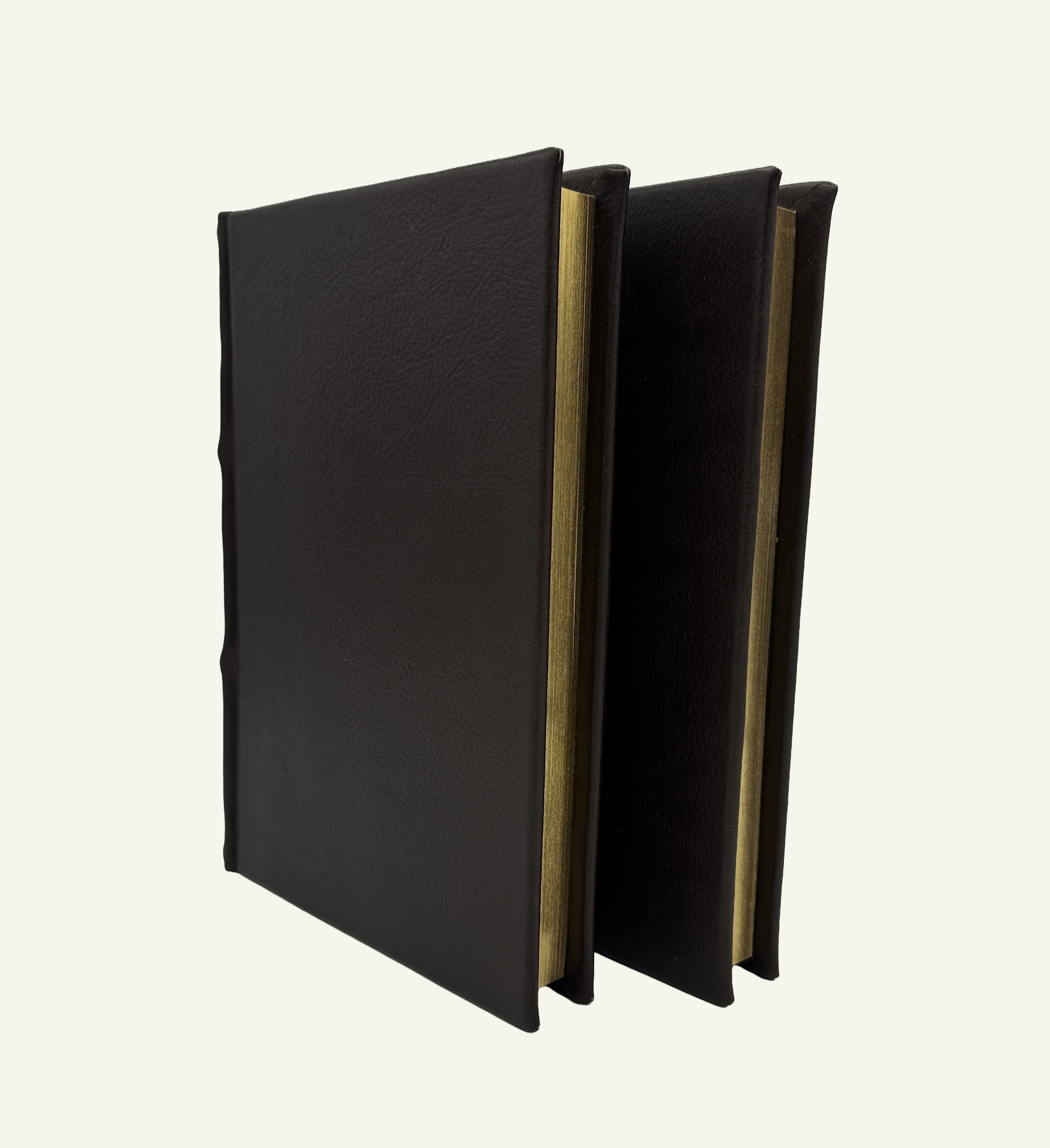 Luxury handmade Italian leather journal with shimmering gold page edges