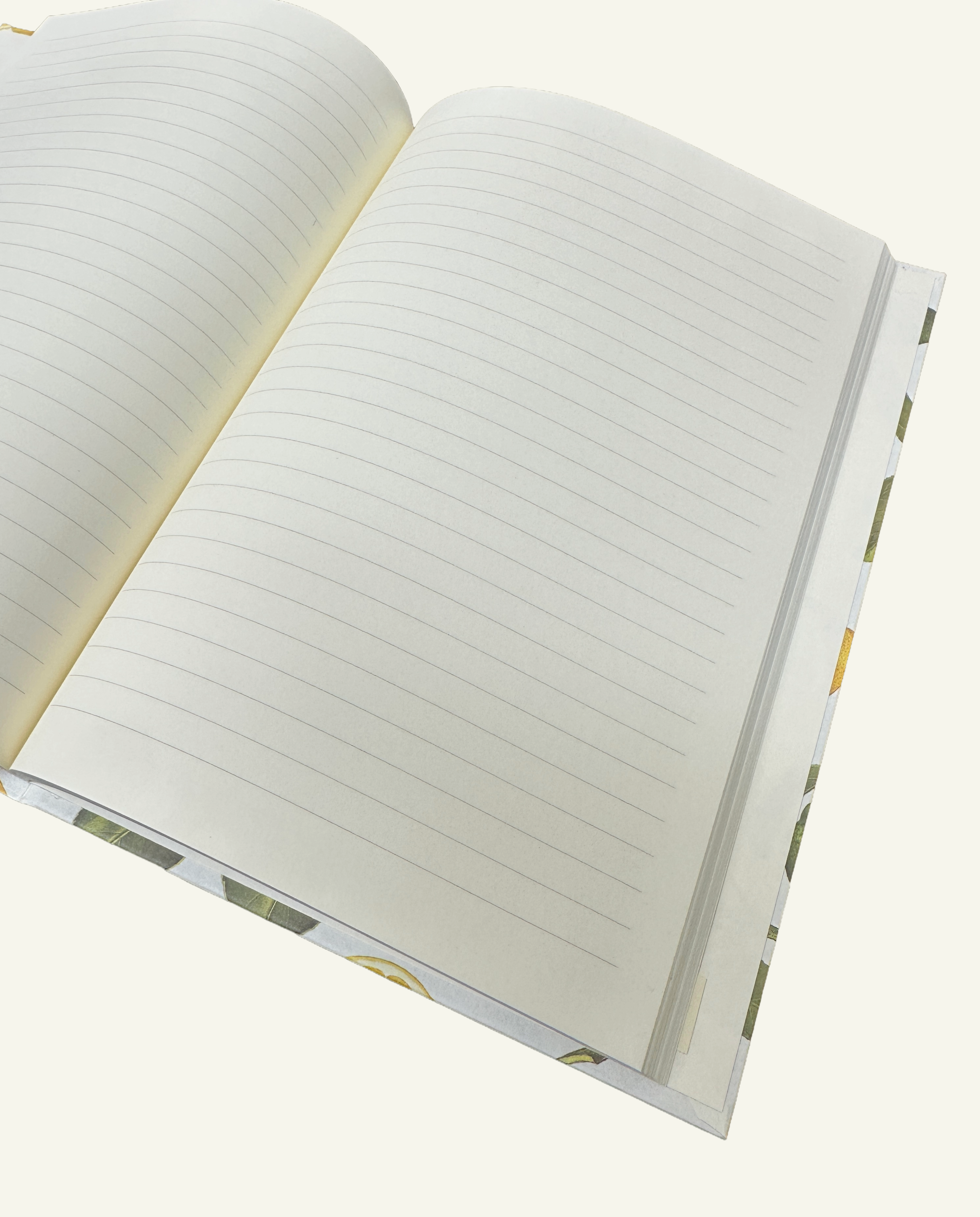 Lined pages of hardcover Sicilian Lemon Grove Journal notebook