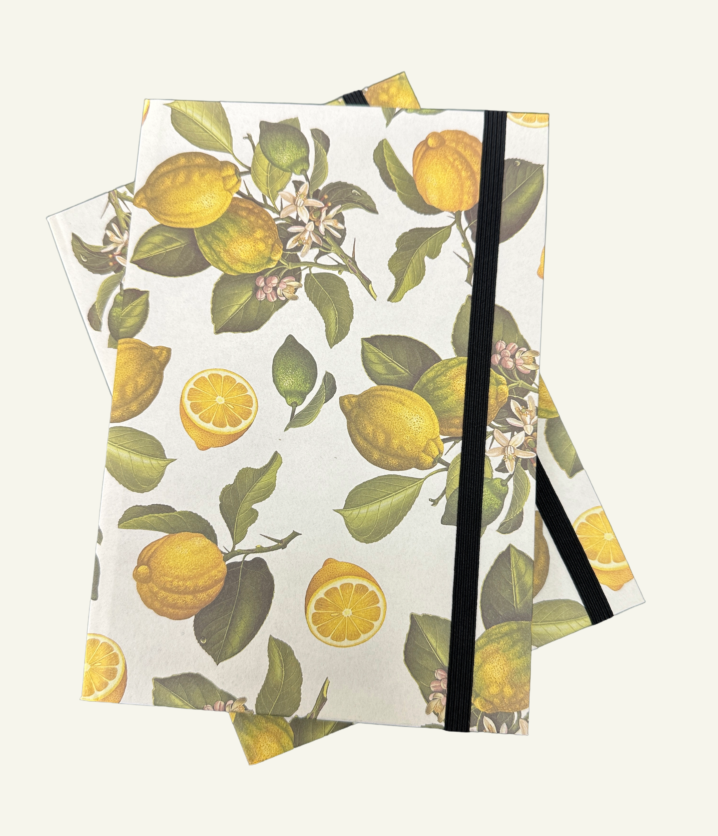 Elastic Closure Hardcover Sicilian Lemon Grove Journals
