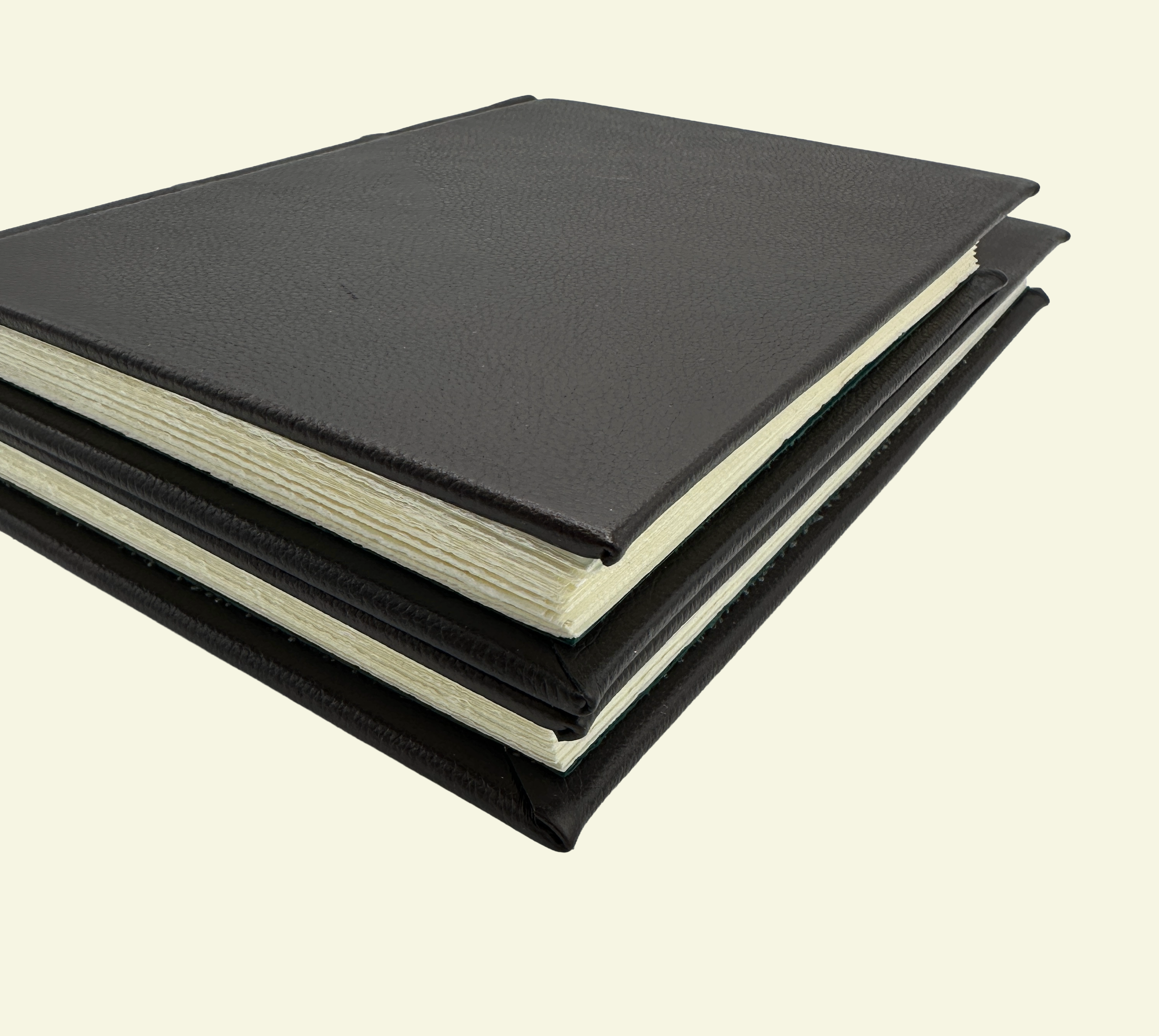 Hand Cut-Deckled Edge Thin Guestbooks