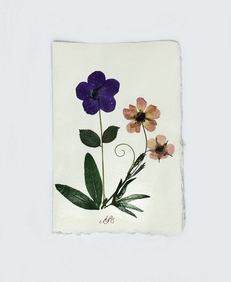 Notecard With Hand-pressed Flowers On Amalfi Paper by Epica