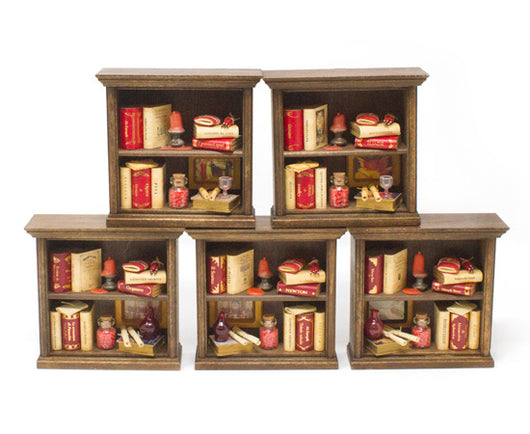 Epica's 2 shelf miniature bookcases