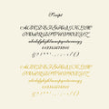 4_Script_Black_Gold_Ink_TP